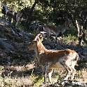 SPANJE 2011 - 436